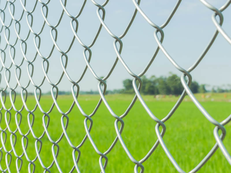 chain-link-fence-reeves-fence